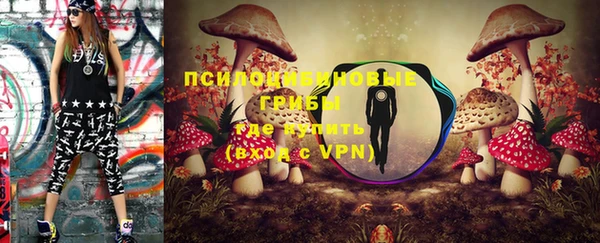 экстази Новодвинск
