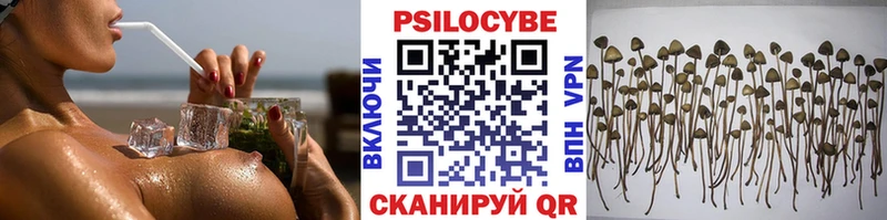 Псилоцибиновые грибы Psilocybine cubensis  Купить  Касимов 